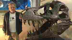 Fossils are becoming a booming business.