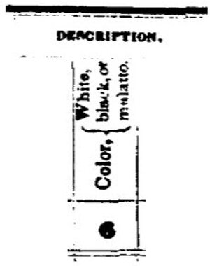 The race question on the U.S. Census Bureau survey in 1850. (U.S. Census Bureau) The race question on the U.S. Census Bureau survey in 1850. (U.S. Census Bureau)