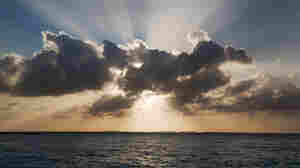 Science and faith may not have to live in a state of warfare, says science and theology scholar Alister McGrath.