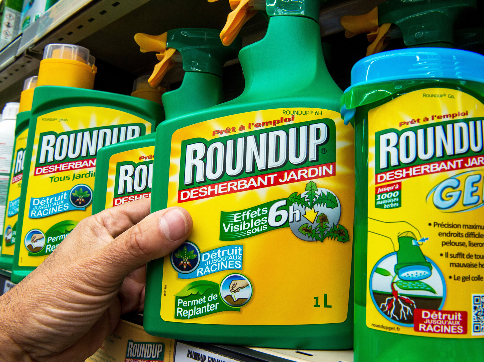 A bottle of Monsanto's Roundup herbicide in a gardening store in Lille, France. A group convened by the European Food Safety Agency reviewed the available scientific data on the chemical, also known as glyphosate, and concluded that it probably does not cause cancer. (Philippe Huguen/AFP/Getty Images)