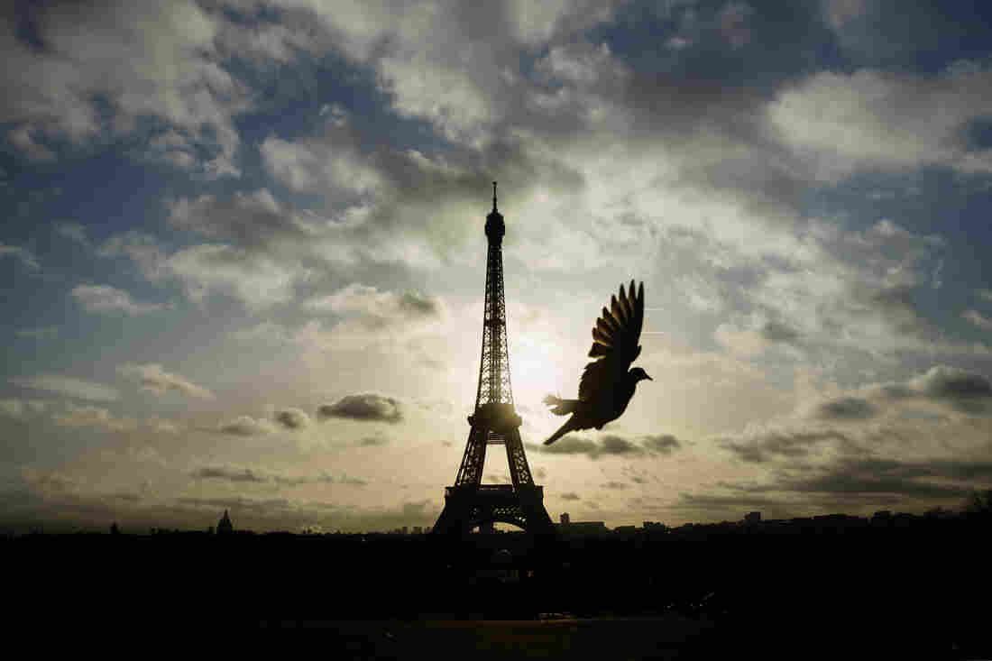 The Paris Attacks: What We Know Right Now