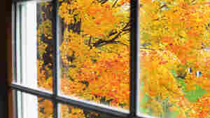 This Thanksgiving, consider being thankful for "when."