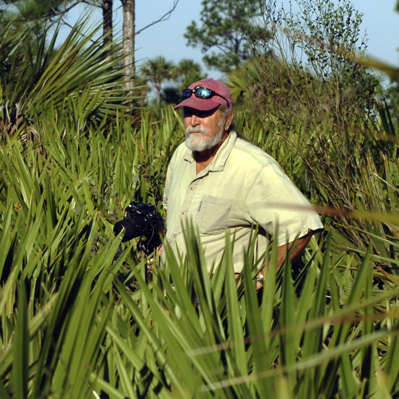 A botanist walks through the Pine Flatwoods of Big Cypress Preserve in December 2012. The preserve is home to several oil wells, but a proposed seismic study — being fought by environmentalists — could dramatically increase exploration.