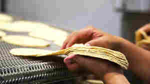 The FDA worries that the same alkaline treatment that gives corn masa its distinctive aroma and flavor might also prevent folic acid from remaining stable in masa. The agency is currently reviewing test results looking at the question of stability.