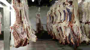 Cattle carcasses hang on hooks inside a cooler at the JBS beef processing plant in Greeley, Colo. JBS employs some 3,000 workers at this plant. The company is looking into ways to automate the art of butchery.