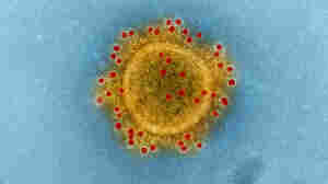 The Middle East respiratory syndrome coronavirus, which causes MERS, is one of the microbes that has sparked research controversy.
