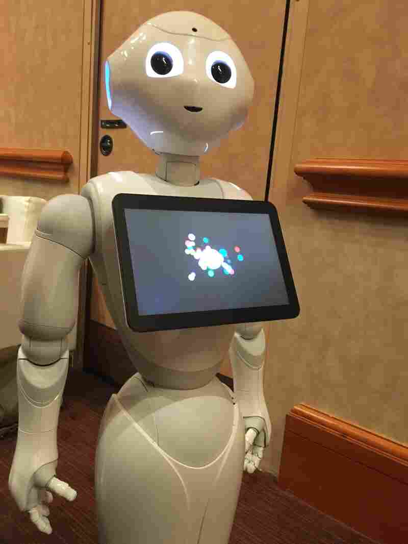 At CES, New Robots Deliver More Coos Than Utility All Tech Considered