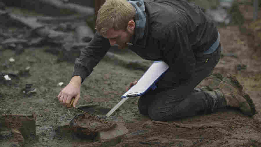 Wood specialist Mike Bamforth examines the base of a Bronze Age wooden bucket at the excavation site.