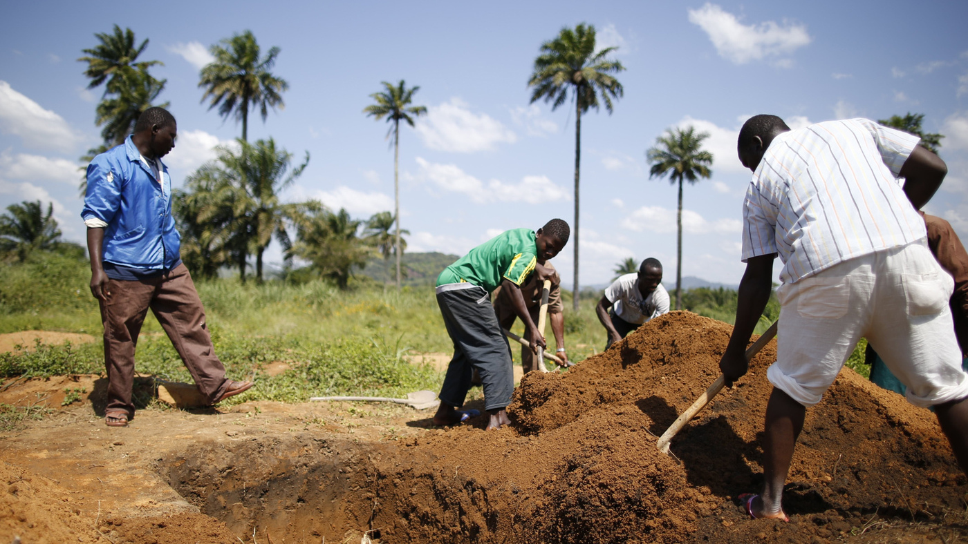 ebola outbreak essay ebola outbreak essay