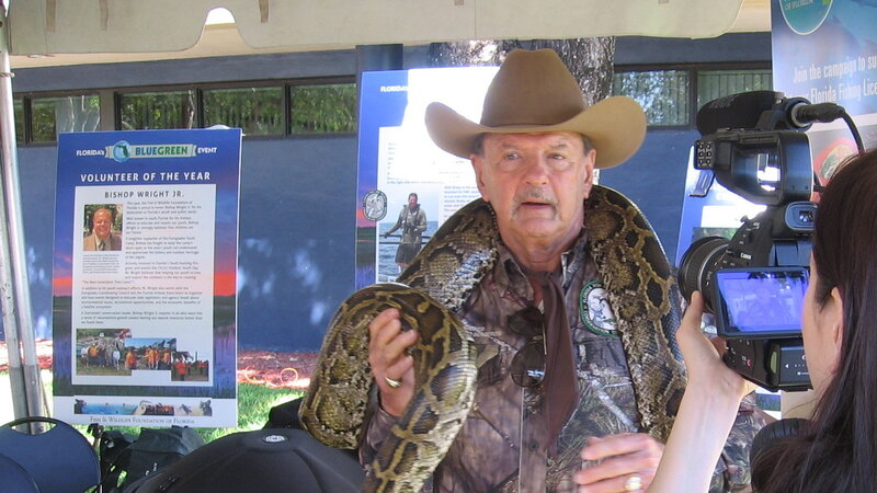 Fish and Wildlife Commissioner Ron Bergeron handles a snake as part of the Python Challenge in the Everglades. Fish and Wildlife Commissioner Ron Bergeron handles a snake as part of the Python Challenge in the Everglades.