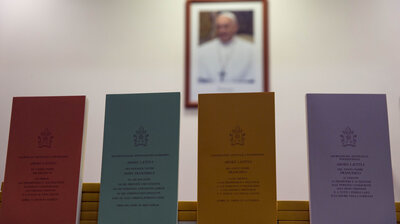 Copies of the post-synodal apostolic exhortation "Amoris Laetitia" (The Joy of Love) are on display at a press conference at the Vatican on Friday. In it, Pope Francis writes that individual conscience should be the guiding principle for Catholics negotiating the complexities of sex, marriage and family life. Copies of the post-synodal apostolic exhortation "Amoris Laetitia" (The Joy of Love) are on display at a press conference at the Vatican on Friday. In it, Pope Francis writes that individual conscience should be the guiding principle for Catholics negotiating the complexities of sex, marriage and family life.