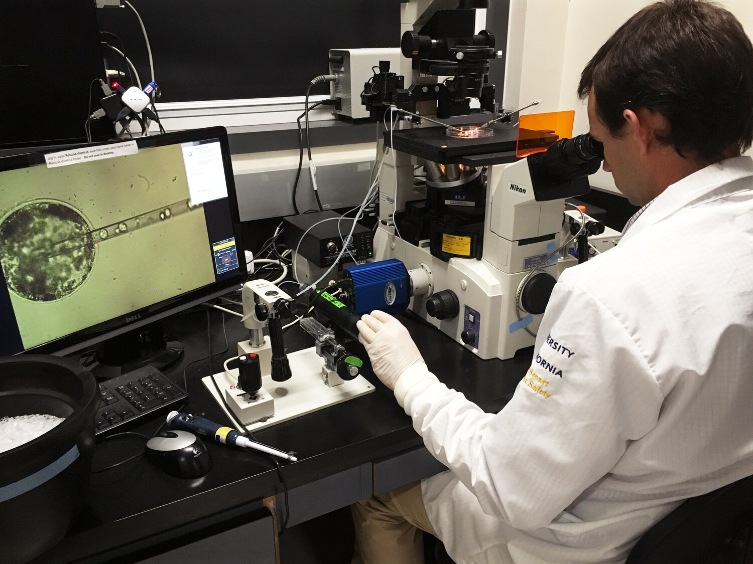 Pablo Ross of the University of California, Davis inserts human stem cells into a pig embryo as part of experiments to create chimeric embryos. Pablo Ross of the University of California, Davis inserts human stem cells into a pig embryo as part of experiments to create chimeric embryos.
