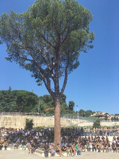 Mourners gathered under an olive tree during the state funeral in Ascoli Piceno. Eleanor Beardsley