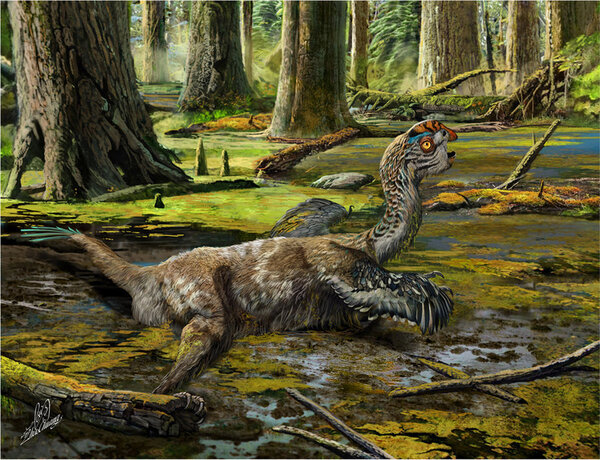 A Dinosaur Found In China And Named Tongtianlong Limosus Which Translates To Muddy Dragon On The Road To Prehistoric Prehistoric Animals Feathered Dinosaurs