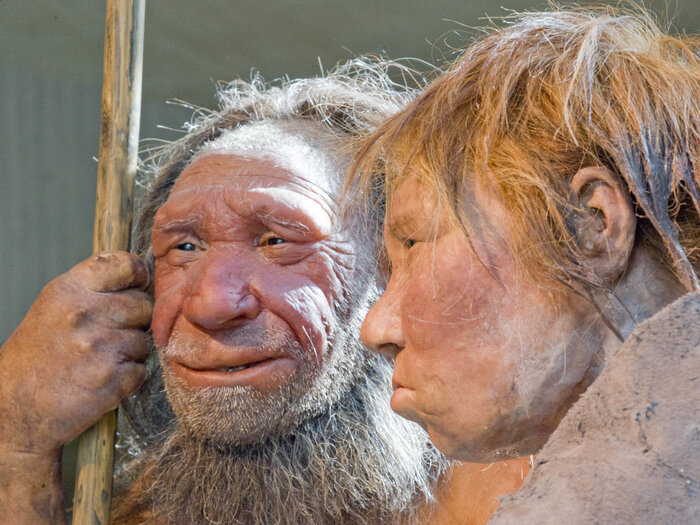 Reconstructions of a Neanderthal man (left) and woman at the Neanderthal Museum in Mettmann, Germany.