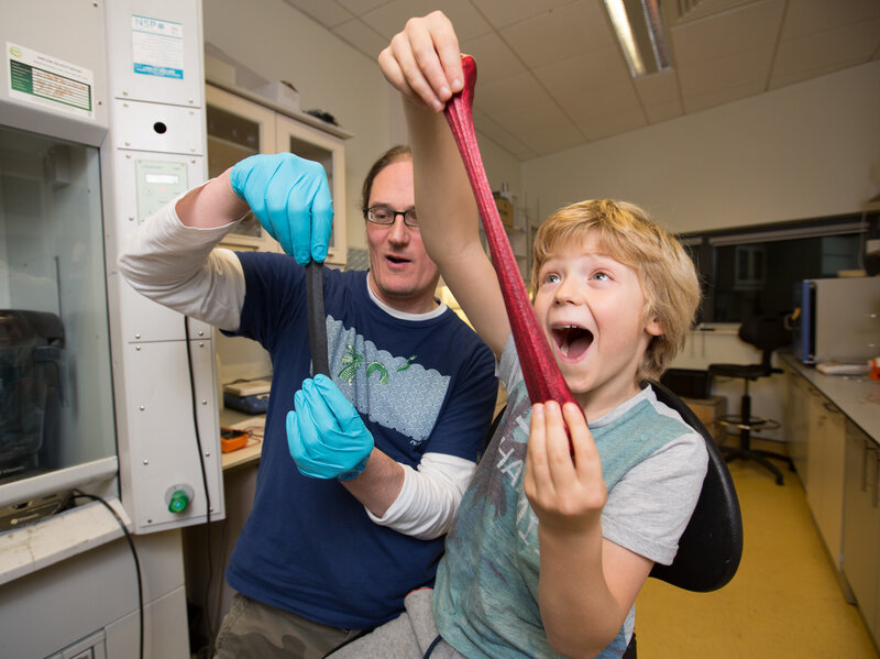 carbon silly putty heart monitor