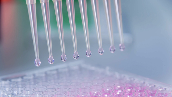 Tania Lombrozo looks at how science establishes facts — and why it