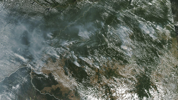 Several of the fires burning in the Amazon rainforest can be seen even from space, as evidenced by this satellite image provided by NASA earlier this month. Brazil