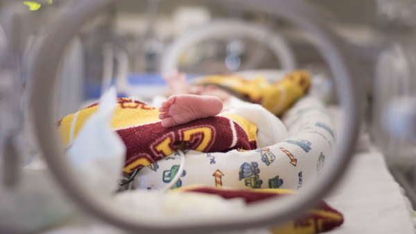 A large study published in late October found that weekly injections of Makena during the latter months of pregnancy "did not decrease recurrent preterm births."