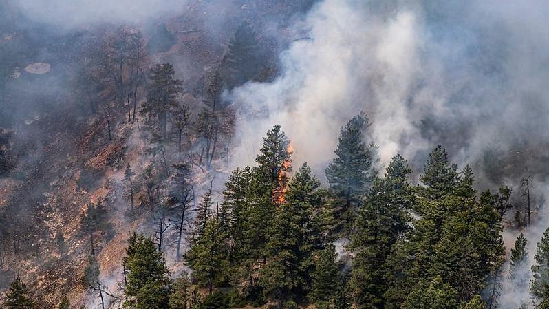 New Wildfires Are At A 10-Year High In The Hot, Dry Western U.S. 3 New Wildfires Are At A 10-Year High In The Hot, Dry Western U.S.