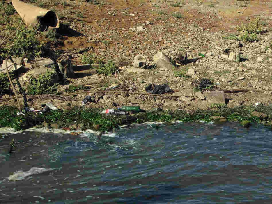 Trash along the Volga shoreline