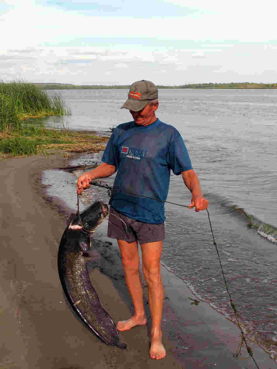 Gennady Anatolievich, 70, shows off a prize carp Gennady Anatolievich, 70, shows off a prize carp