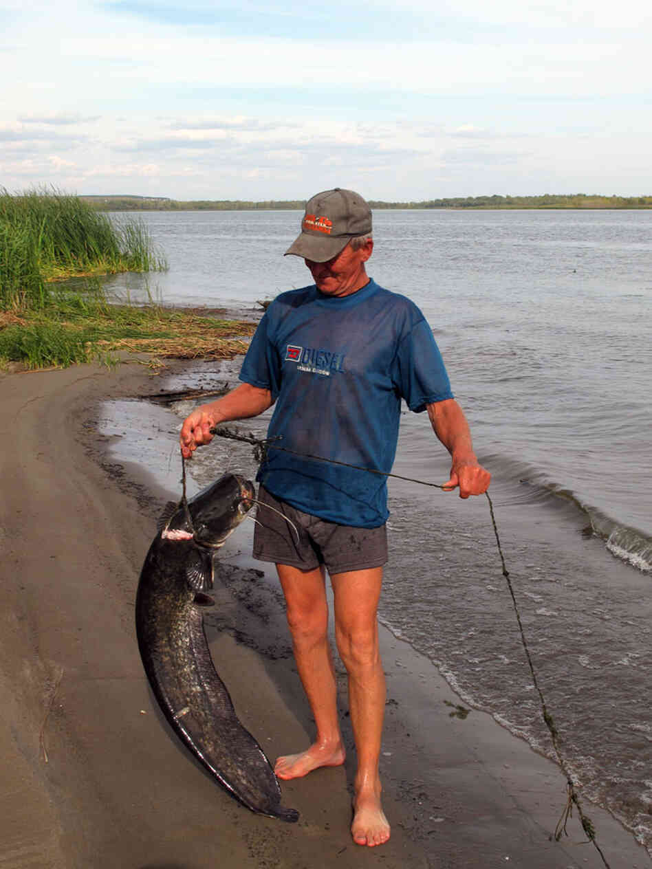 Gennady Anatolievich, 70, shows off a prize carp Gennady Anatolievich, 70, shows off a prize carp