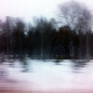woods
