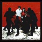 Cover for White Blood Cells