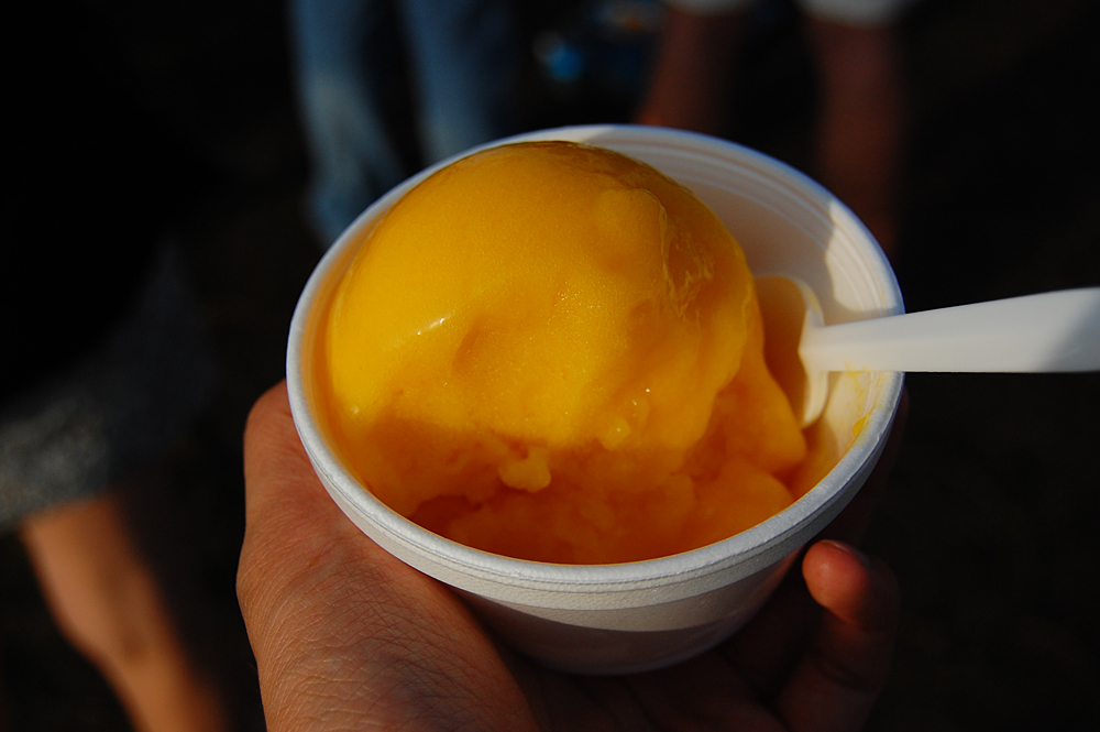 mango freeze