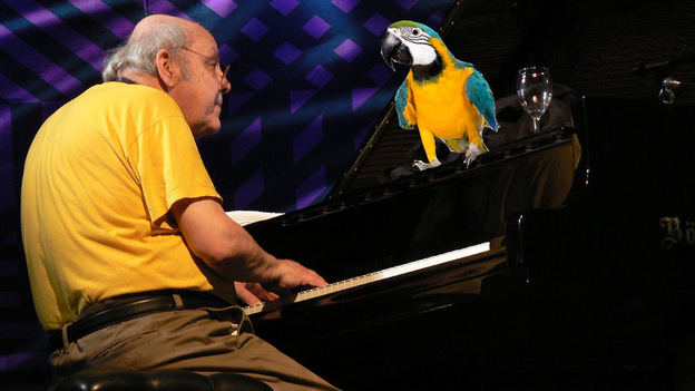 Misha Mengelberg and a parrot, but not his parrot.