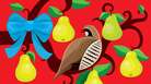 A partridge poses in a pear tree. A partridge poses in a pear tree.