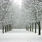 A sunless day in winter A sunless day in winter