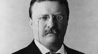 Teddy Roosevelt Teddy Roosevelt