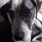 Tobey, pre-Phish Tobey, pre-Phish