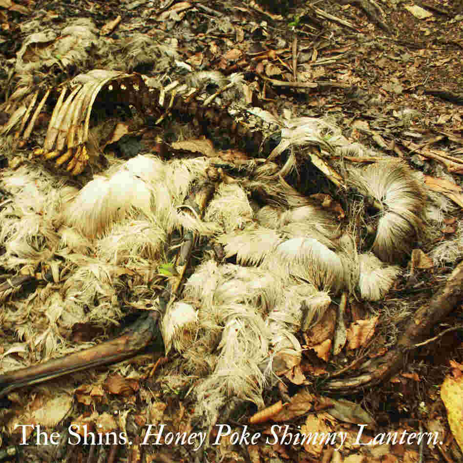 Fake cover for The Shins' 'Honey Poke Shimmy Lantern.' Fake cover for The Shins' 'Honey Poke Shimmy Lantern.'