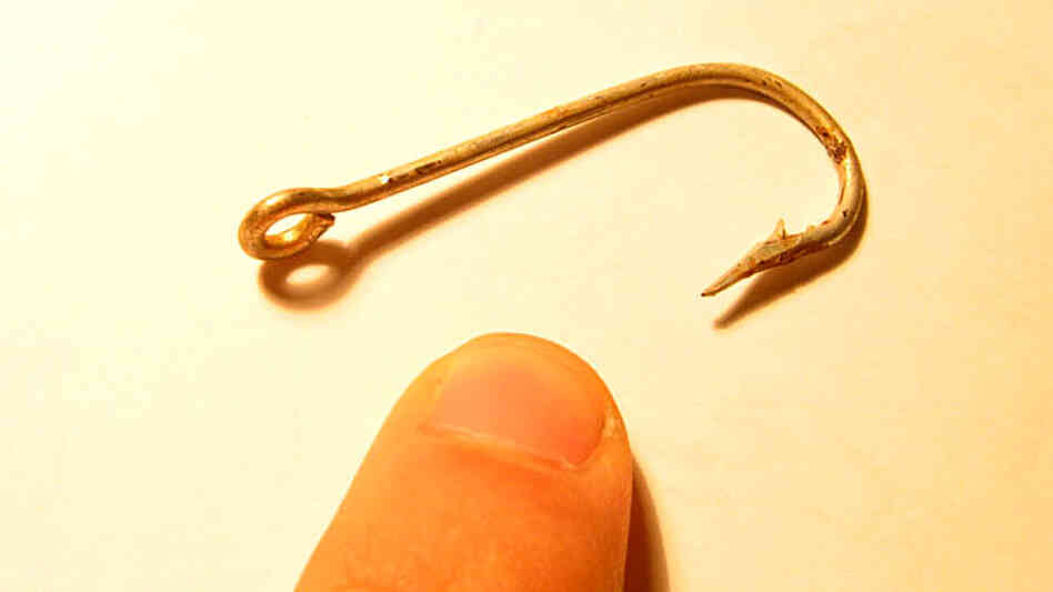 Hook; credit: Renato Guerreiro / flickr.com