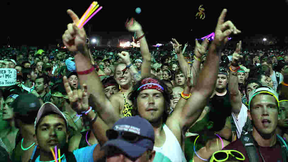 The crowd at Bonnaroo June 13, 2010. The crowd at Bonnaroo June 13, 2010.