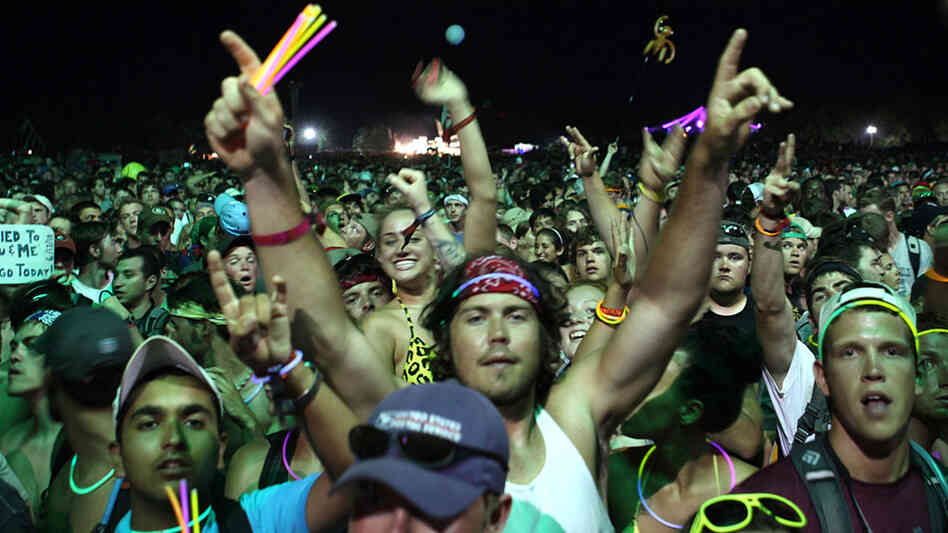 The crowd at Bonnaroo June 13, 2010. The crowd at Bonnaroo June 13, 2010.