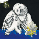 Cover for Magnolia Electric Co. (10th Anniversary Deluxe Edition) Cover for Magnolia Electric Co. (10th Anniversary Deluxe Edition)