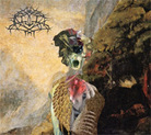 Dimensional Bleedthrough Dimensional Bleedthrough