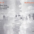 Fly art Fly art