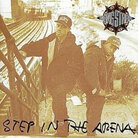 Step In The Arena cover Step In The Arena cover