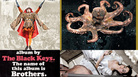 Directors picks Directors picks