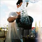 carpete_florido carpete_florido