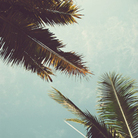 Cover for Santa Marta