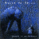 cover for built to spill