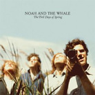 cover for noah and the whale