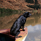 cover for chris walla and j. robbins