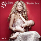 cover for shakira cover for shakira